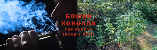 круглые Бородино