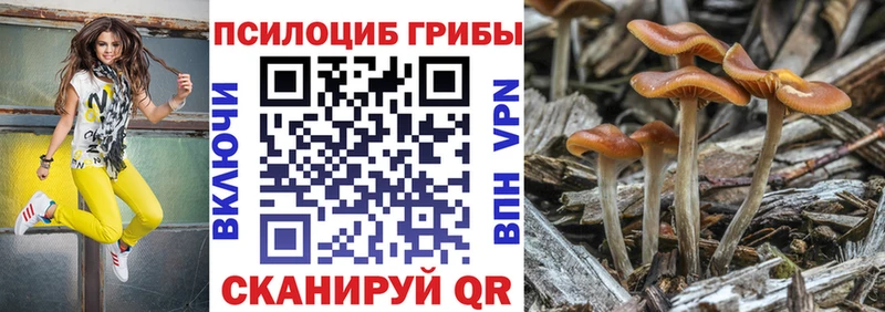 где продают наркотики  blacksprut как зайти  Псилоцибиновые грибы GOLDEN TEACHER  Грязовец 